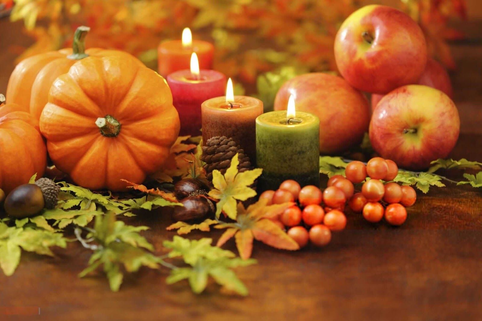 Thanks Giving , HD Wallpaper & Backgrounds