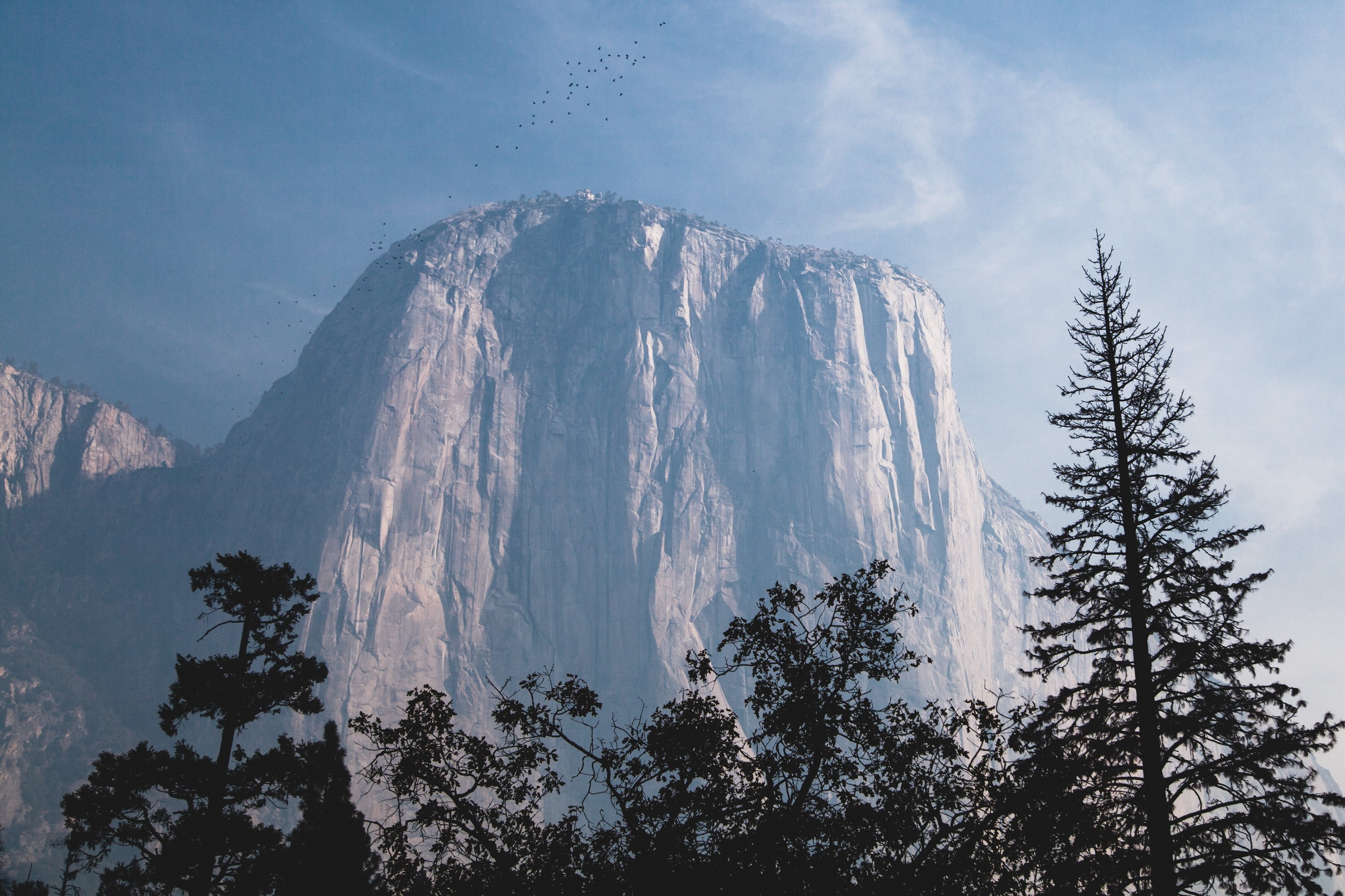 Yosemite National Park, El Capitan , HD Wallpaper & Backgrounds