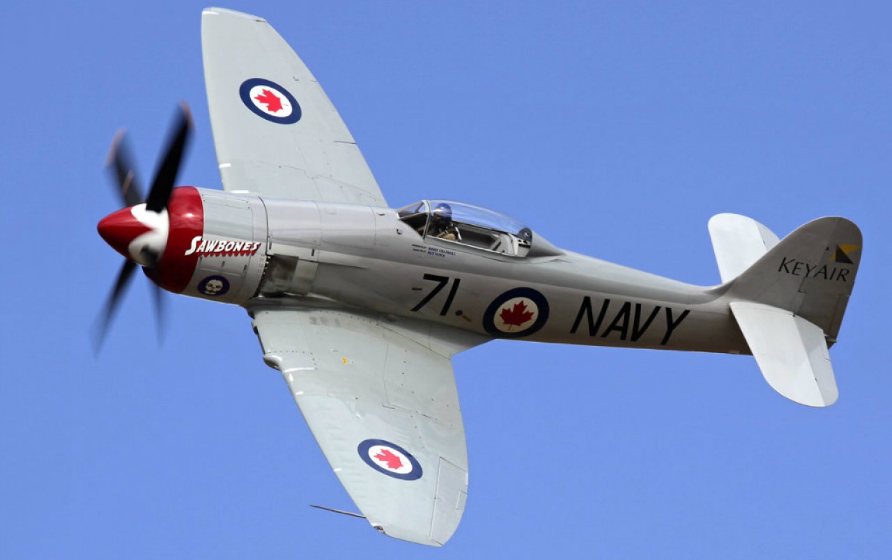Hawker Sea Fury Wallpapers - Monoplane , HD Wallpaper & Backgrounds