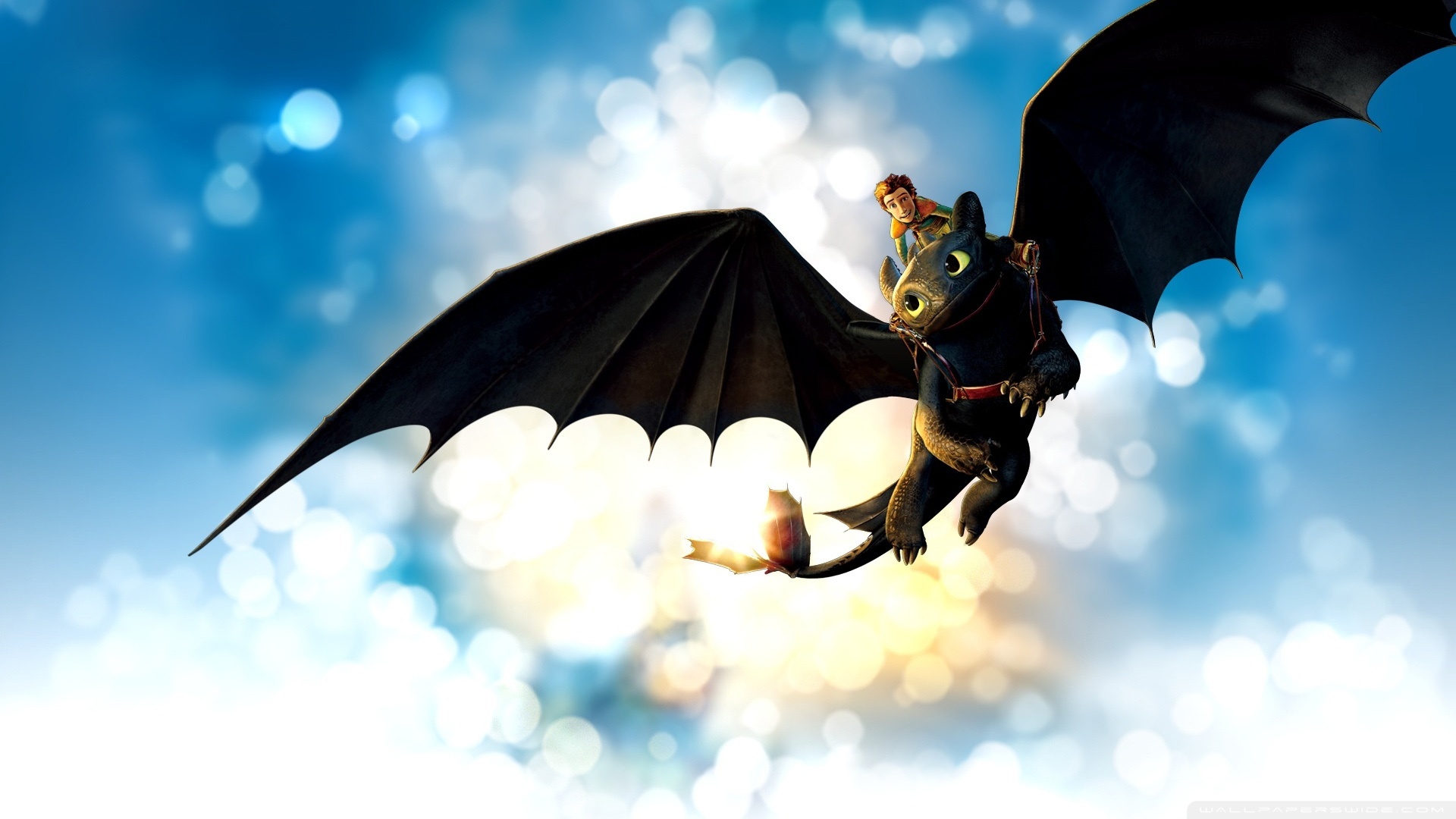 Train Your Dragon , HD Wallpaper & Backgrounds
