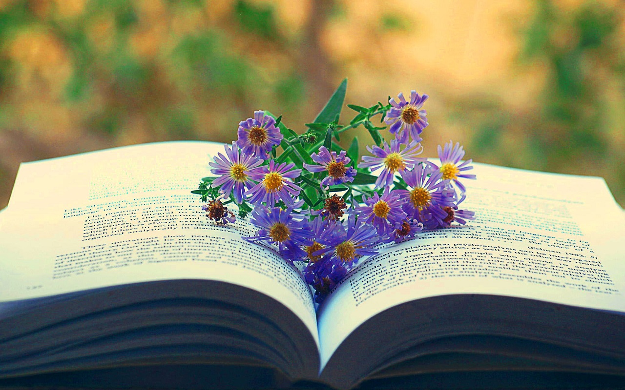 Book Wallpaper Reading Book Hd Wallpaper Backgrounds Download Book Wallpaper Reading Book Hd Wallpaper Backgrounds Download