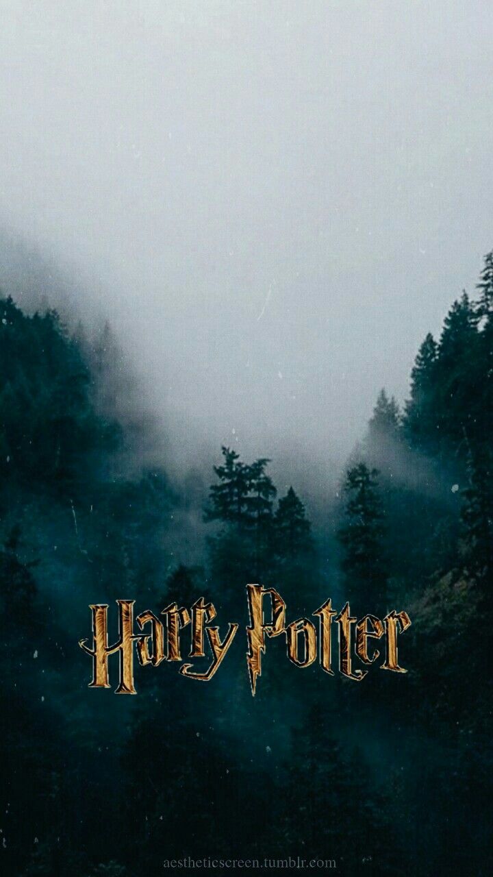 Harry Potter , HD Wallpaper & Backgrounds