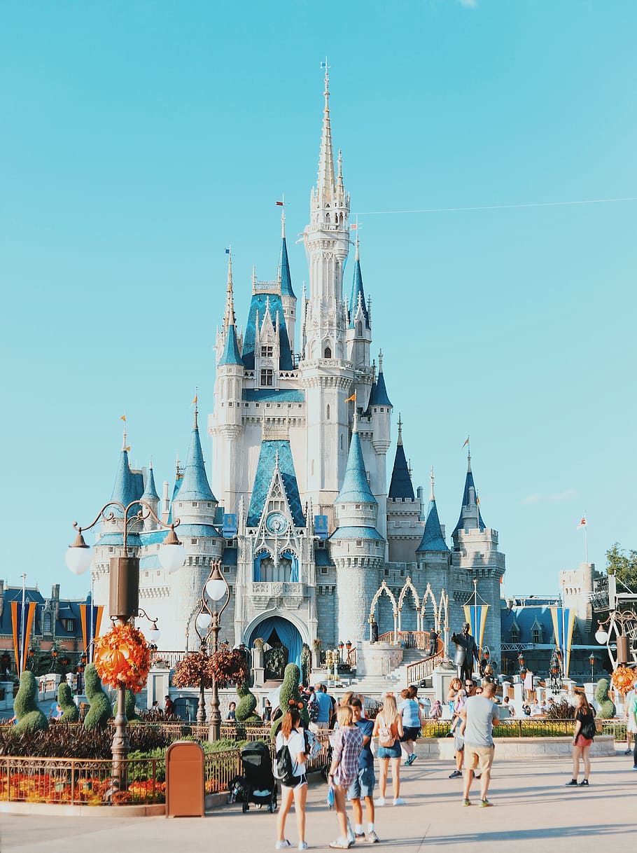 Disney Land, Castle, Disney World, Background, Theme - Disney World, Cinderella Castle , HD Wallpaper & Backgrounds