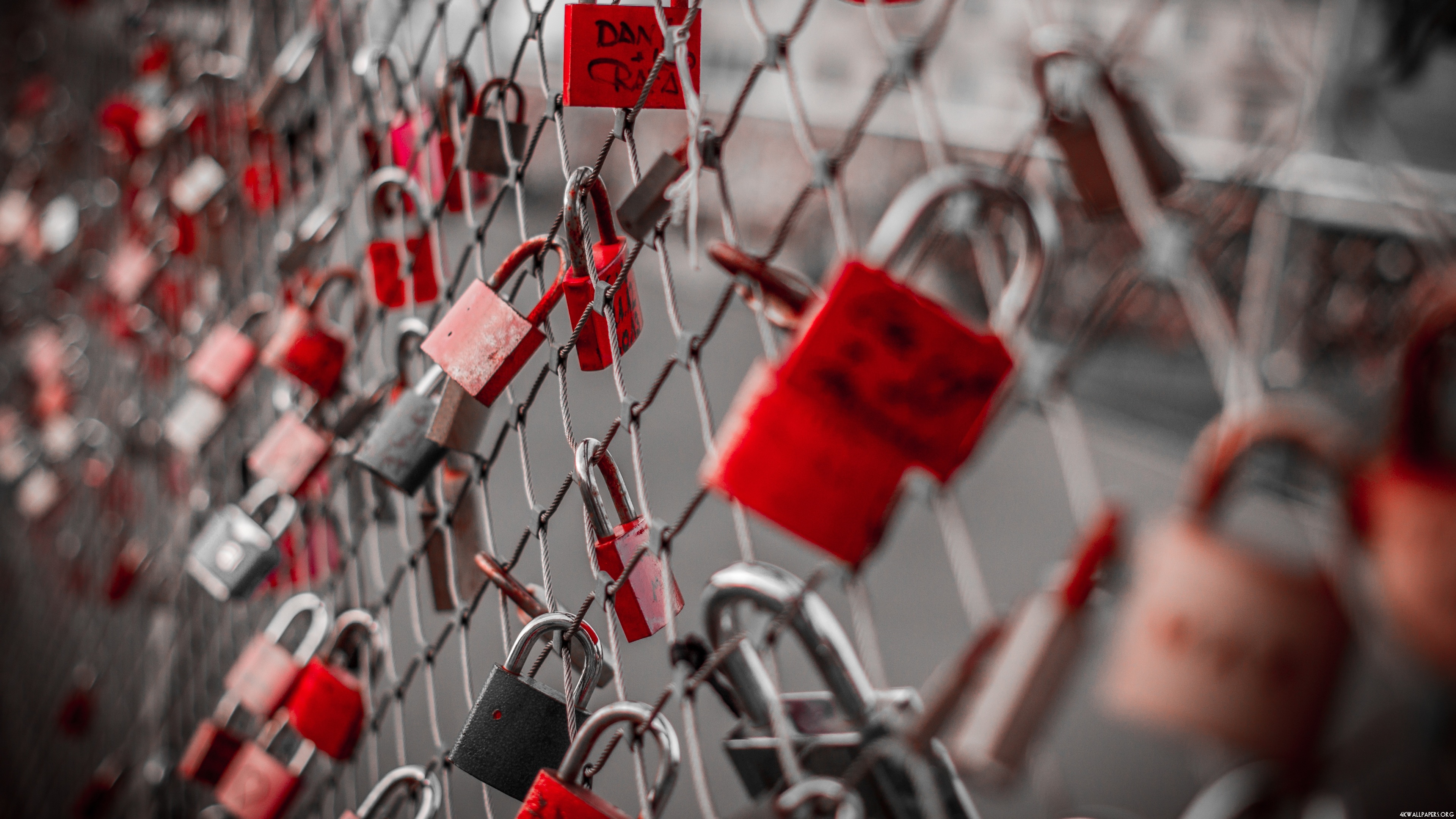 Love Locks Wallpaper - Love Padlock , HD Wallpaper & Backgrounds