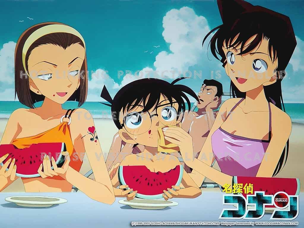 Detective Conan Edogawa Swimsuits Cute Ran - Detective Conan Swimsuit , HD Wallpaper & Backgrounds