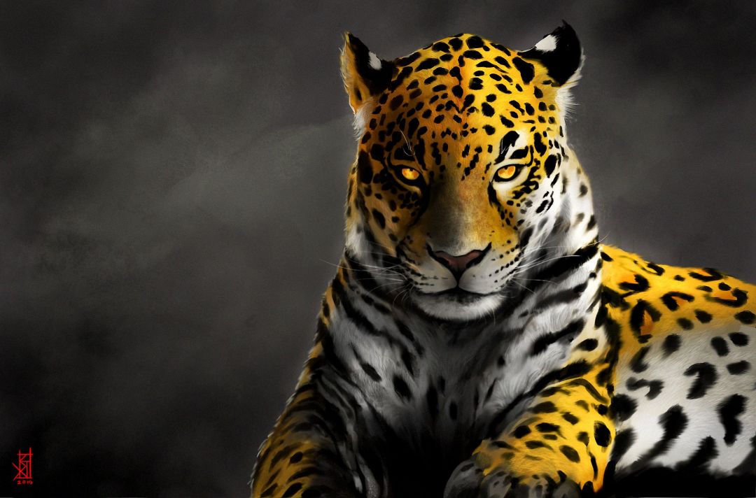 Android, Iphone, Desktop Hd Backgrounds / Wallpapers - Jaguar Background , HD Wallpaper & Backgrounds