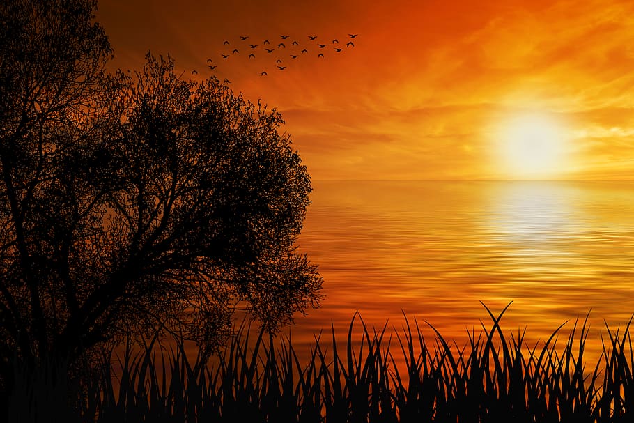 Sunset, Nature, Sun, Sea, Silhouette, Horizon, 4k Wallpaper, - 4k Wallpaper Sunset , HD Wallpaper & Backgrounds