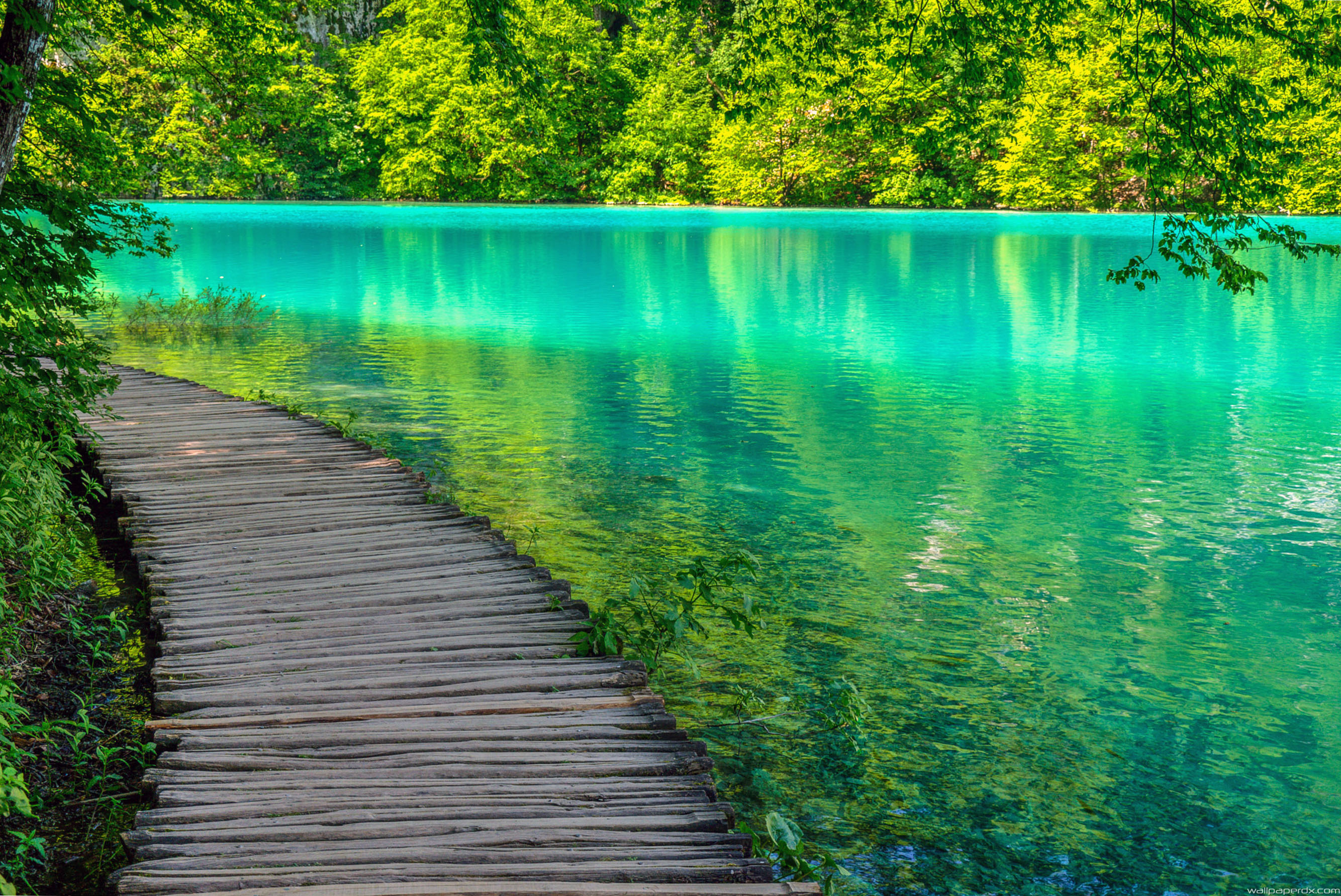 Croatia Plitvice Lakes National Park Full Hd Wallpaper , HD Wallpaper & Backgrounds