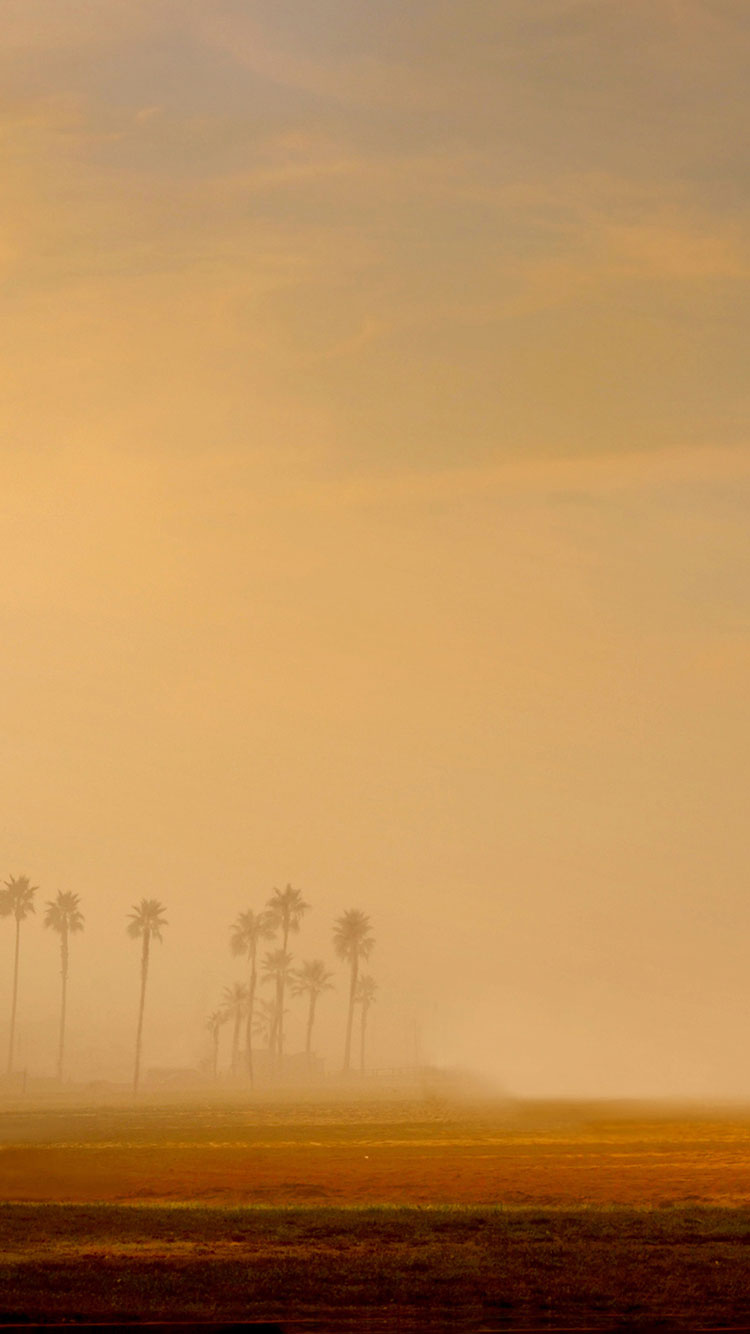 Los Angeles Beach Iphone - Mist , HD Wallpaper & Backgrounds