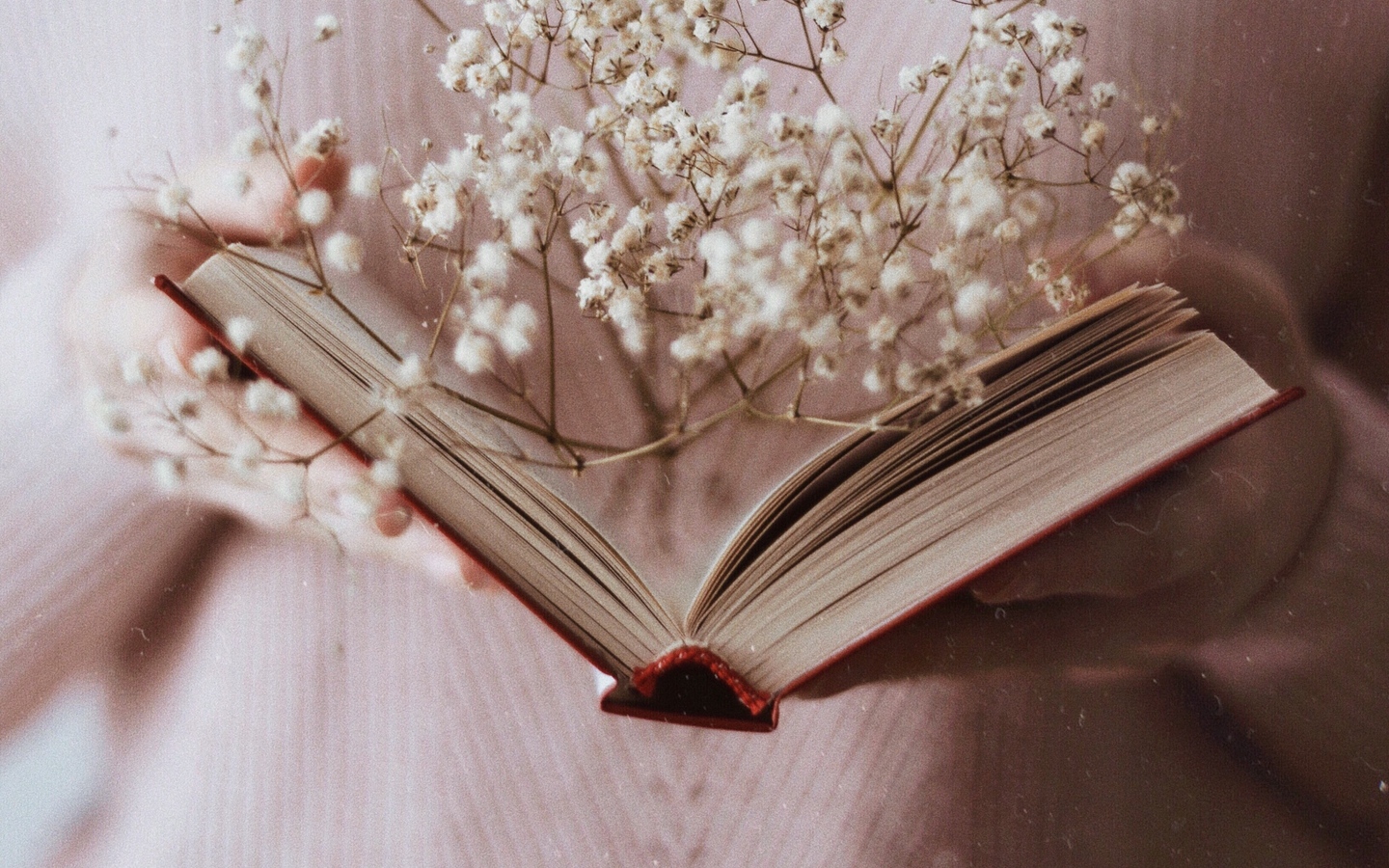 Wallpaper Book, Branch, Flowers, White, Open - Book , HD Wallpaper & Backgrounds