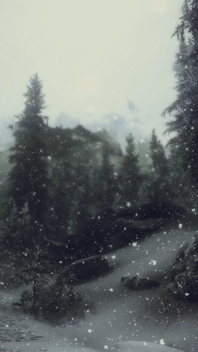 Snow Forest - Iphone 5 Wallpaper Forest , HD Wallpaper & Backgrounds