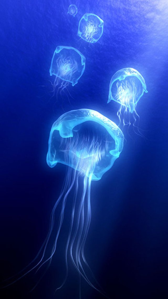 Glowing Jellyfish Wallpaper Iphone , HD Wallpaper & Backgrounds