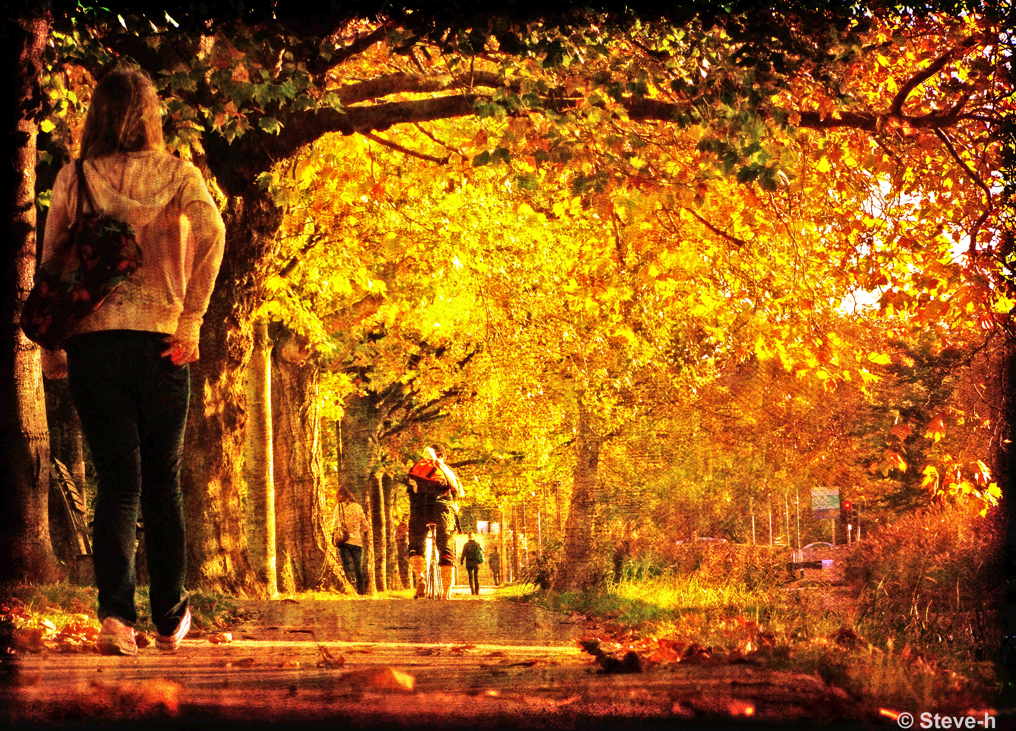 Autumn Love , HD Wallpaper & Backgrounds