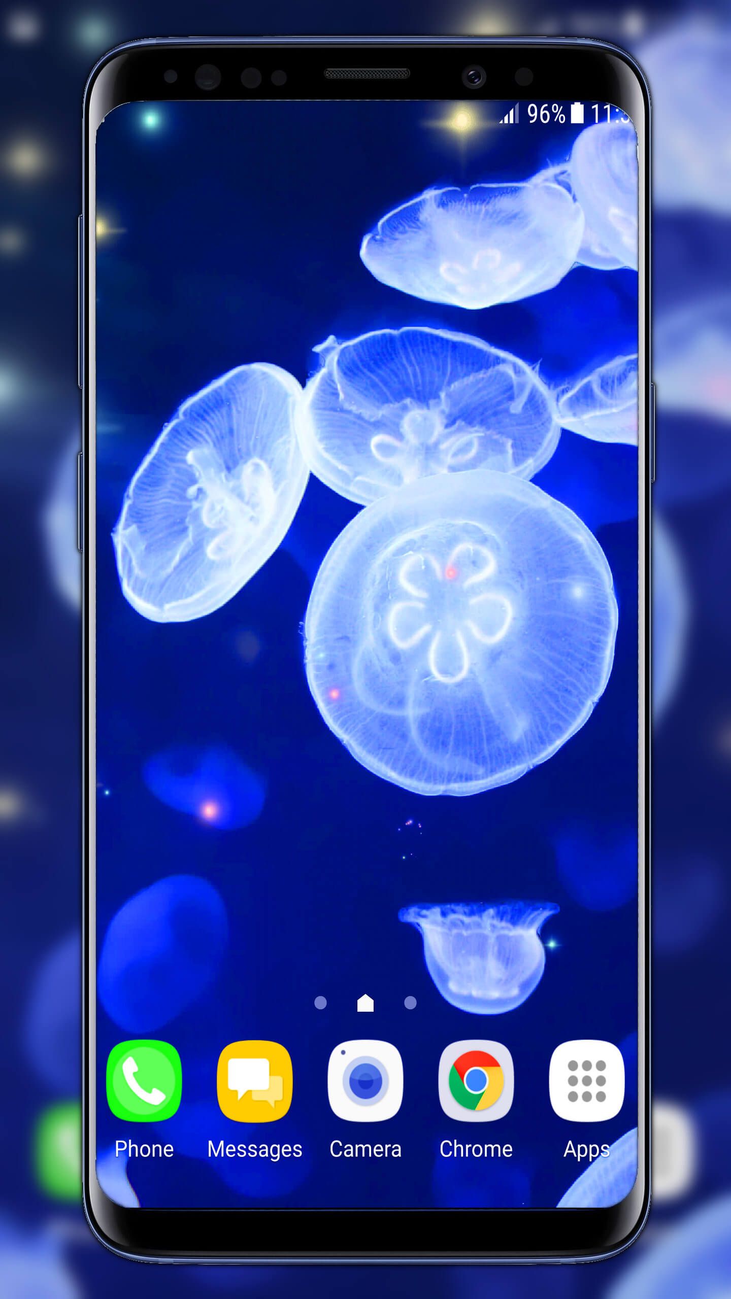 Medusas Marinas , HD Wallpaper & Backgrounds
