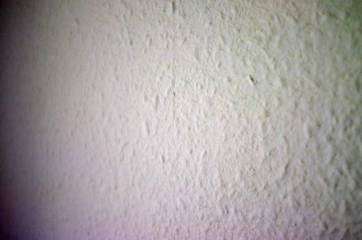 Ivory (#3122894) - HD Wallpaper & Backgrounds Download