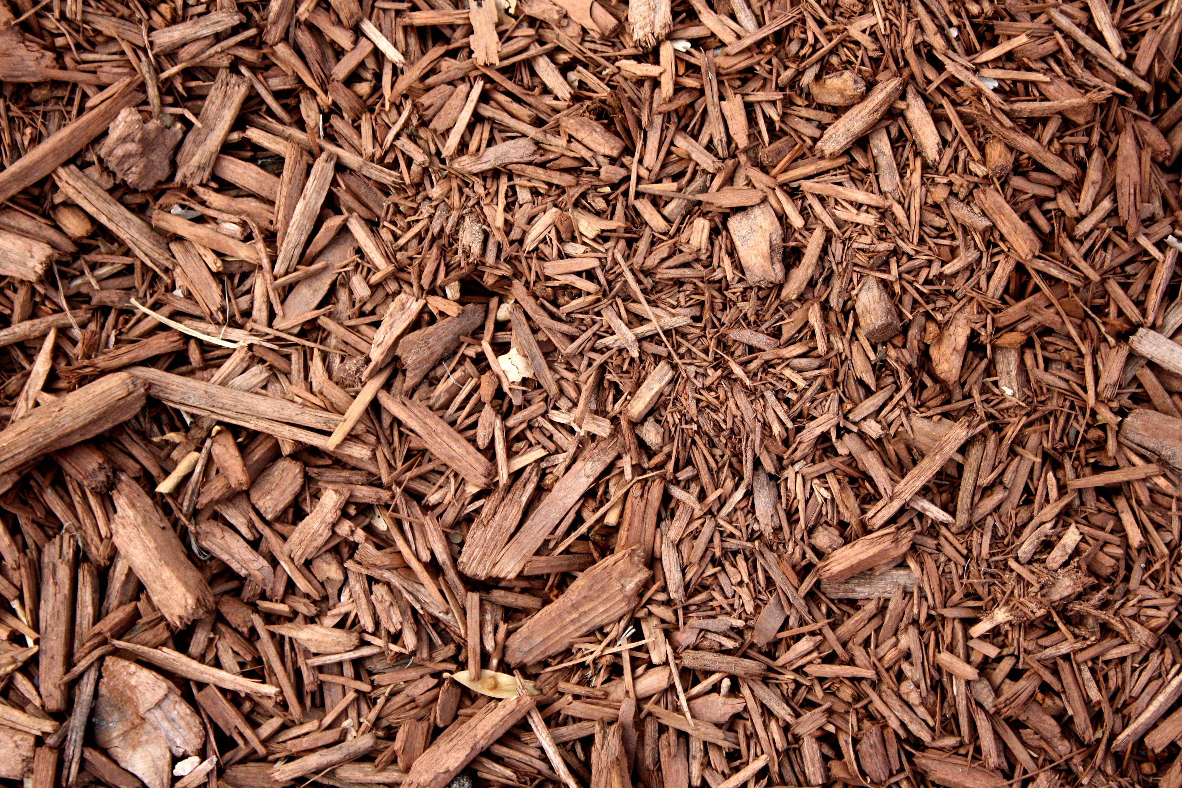 Brown Wood Chip Mulch Texture Picture Photograph Photos - Bark Chips Texture , HD Wallpaper & Backgrounds