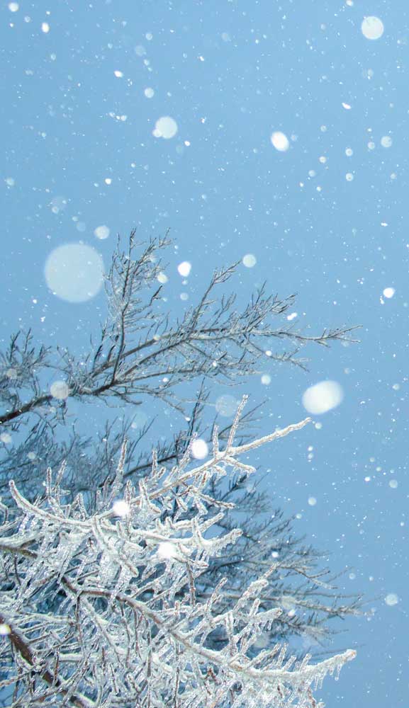 Winter Iphone Wallpaper, Iphone Wallpaper, Snow Wallpaper, - Desktop Wallpaper January 2020 , HD Wallpaper & Backgrounds