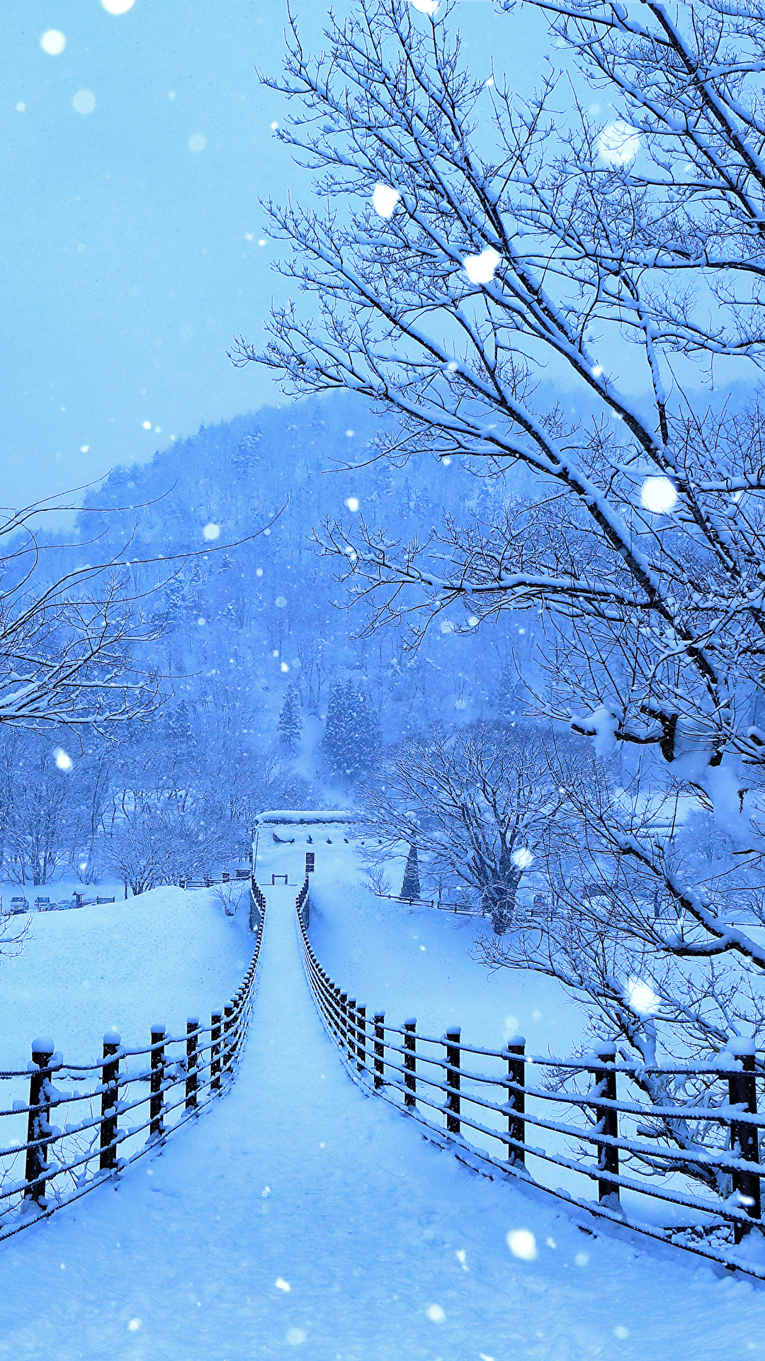Winter Wallpaper Japan , HD Wallpaper & Backgrounds