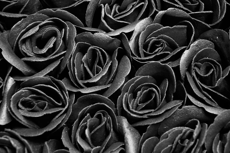 Black Roses, Black And White, Flowers, Background, - Sympathy Quotes For A Friend Who Lost Her Grandmother , HD Wallpaper & Backgrounds