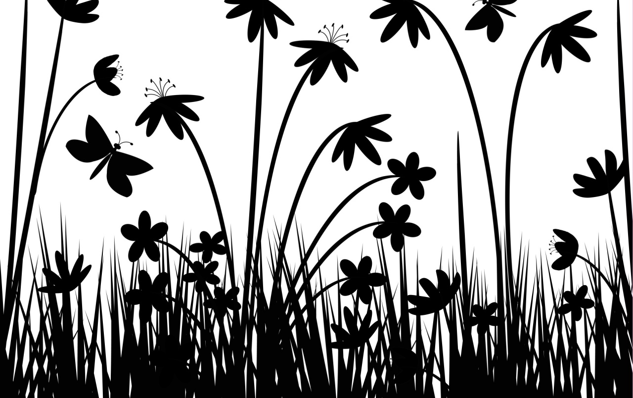 Greyscale Flowers Wallpapers - White And Black Design , HD Wallpaper & Backgrounds