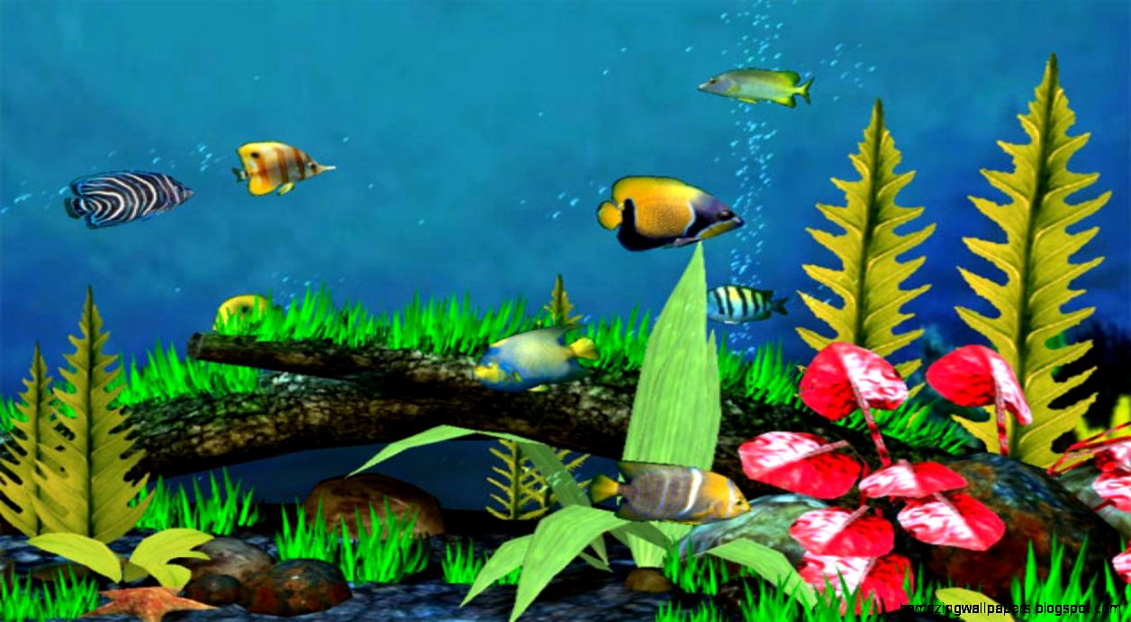 Desktop 3d Live Fish Wallpaper Dowload - Fish Aquarium 3d Screensaver , HD Wallpaper & Backgrounds