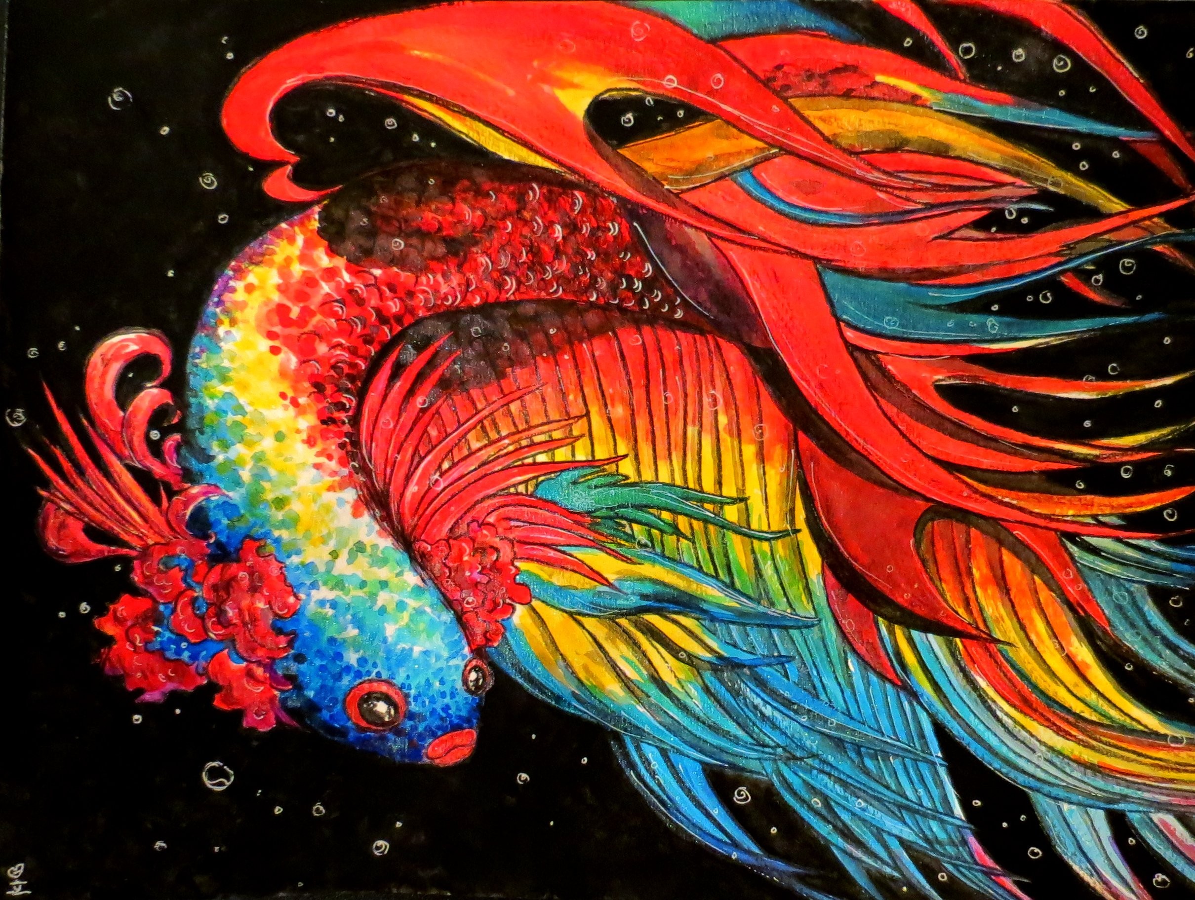 Colorful Betta Fish Art , HD Wallpaper & Backgrounds