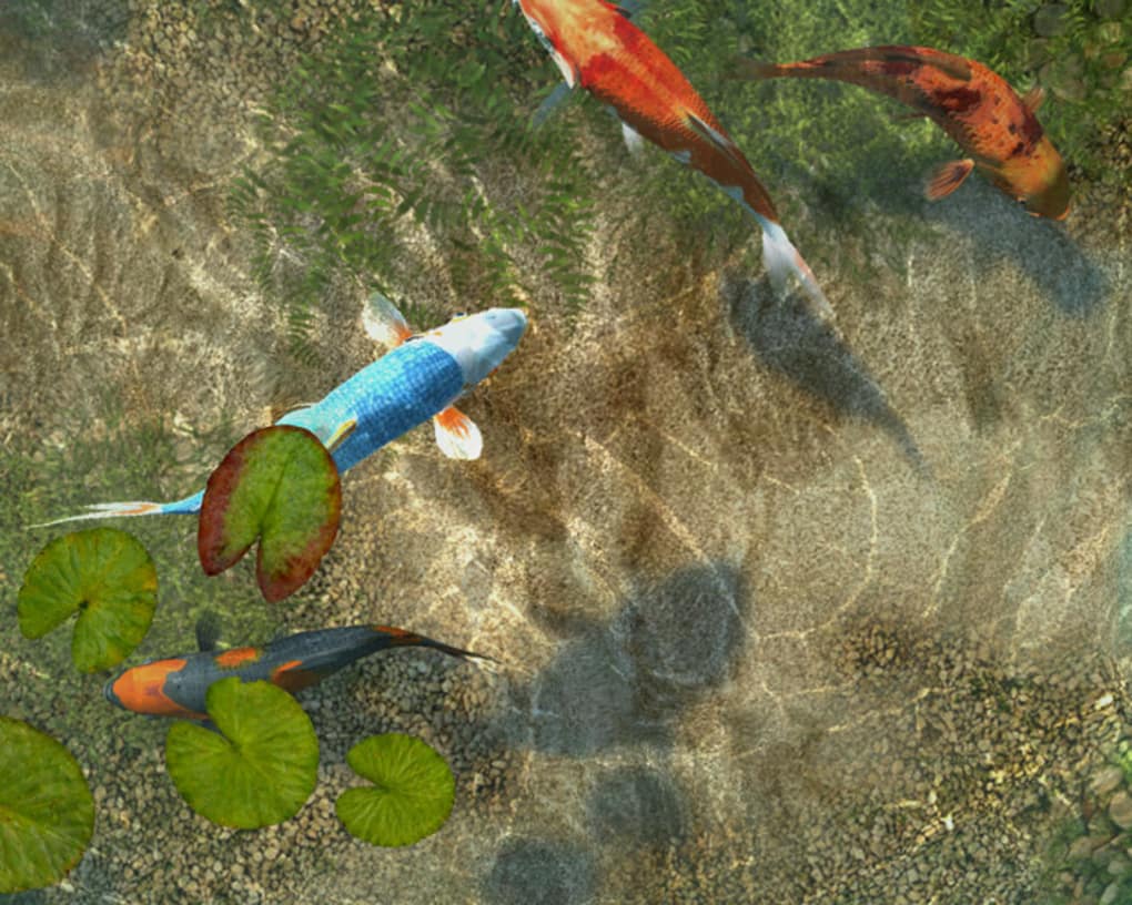 Fish Pond Live Wallpaper - Koi Fish Pond 3d Screensaver , HD Wallpaper & Backgrounds