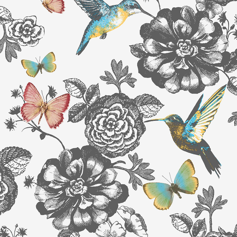 Coloroll Utopia Bird And Butterfly Wallpaper In Multi - Butterfly And Hummingbird , HD Wallpaper & Backgrounds