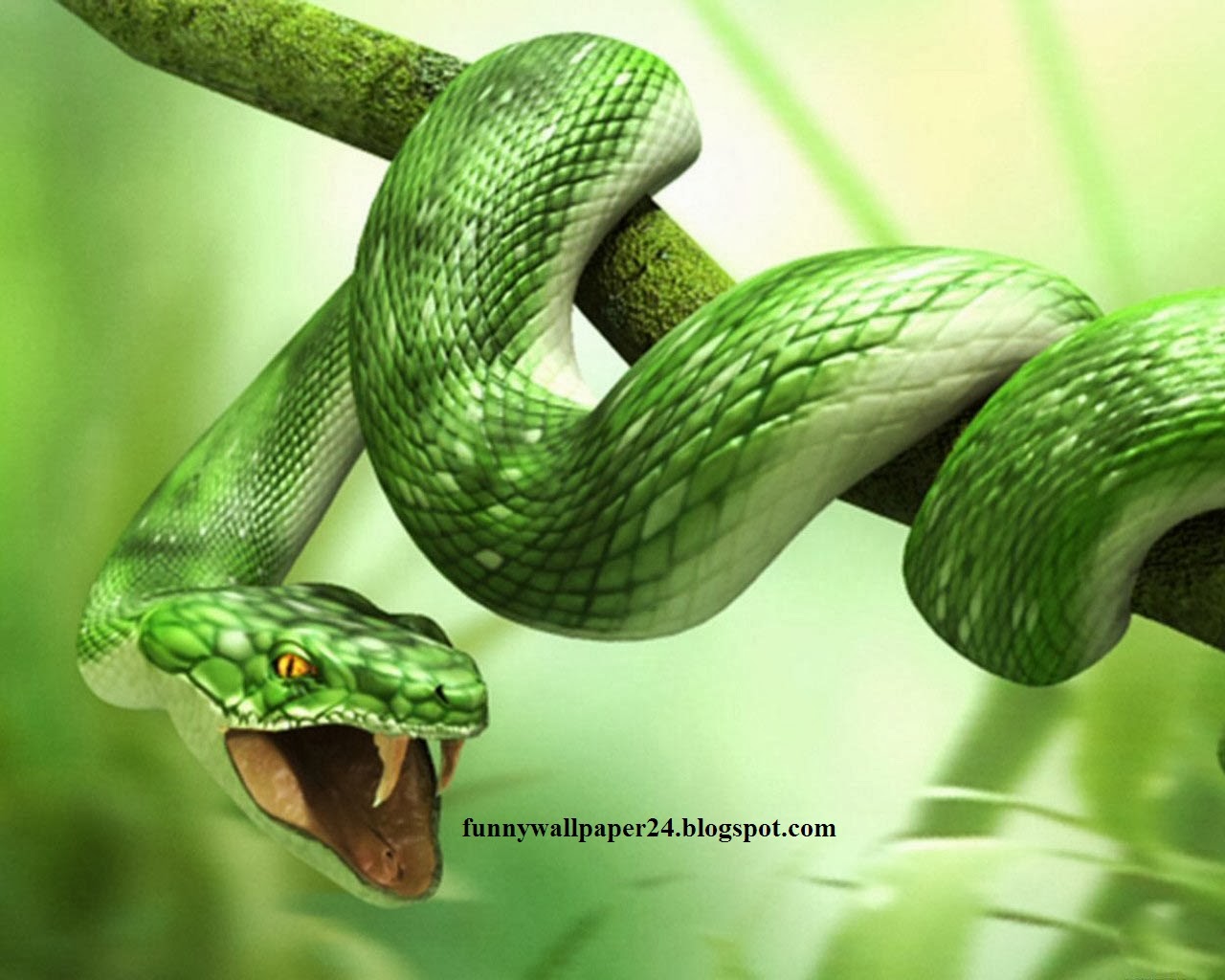 Free Live Animal Wallpaper - Hunting Snake By Judith Wright , HD Wallpaper & Backgrounds