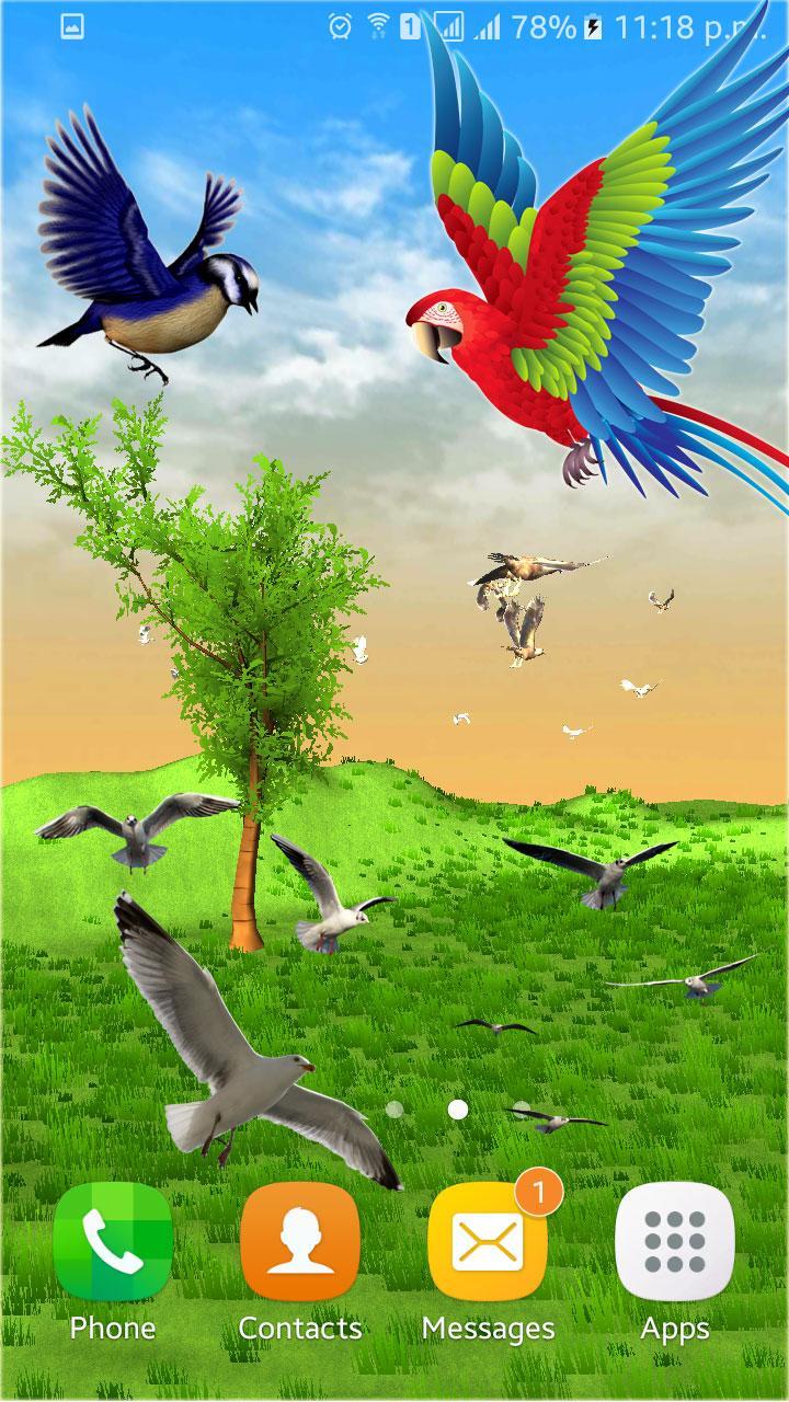 Flying Birds Live Wallpaper 3d Phone Backgrounds For - Live Bird Wallpaper 3d , HD Wallpaper & Backgrounds