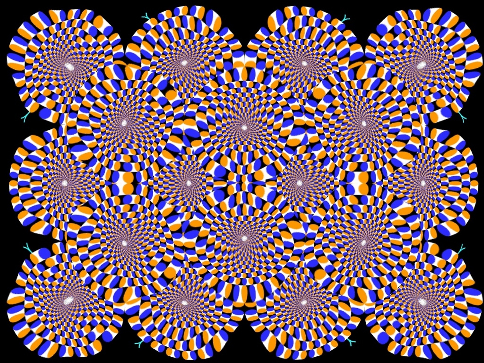 Optical Illusion Wallpaper - Optical Illusion , HD Wallpaper & Backgrounds