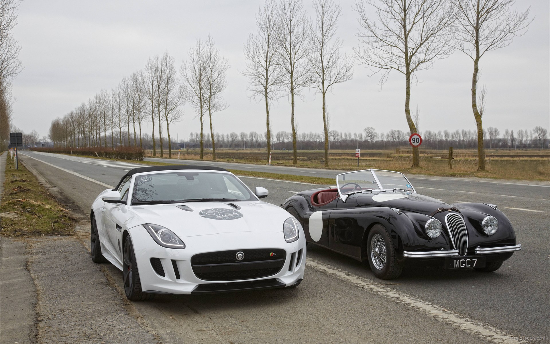 Jaguar F Type V8 S Sports Car - Jaguar Sport V8 , HD Wallpaper & Backgrounds