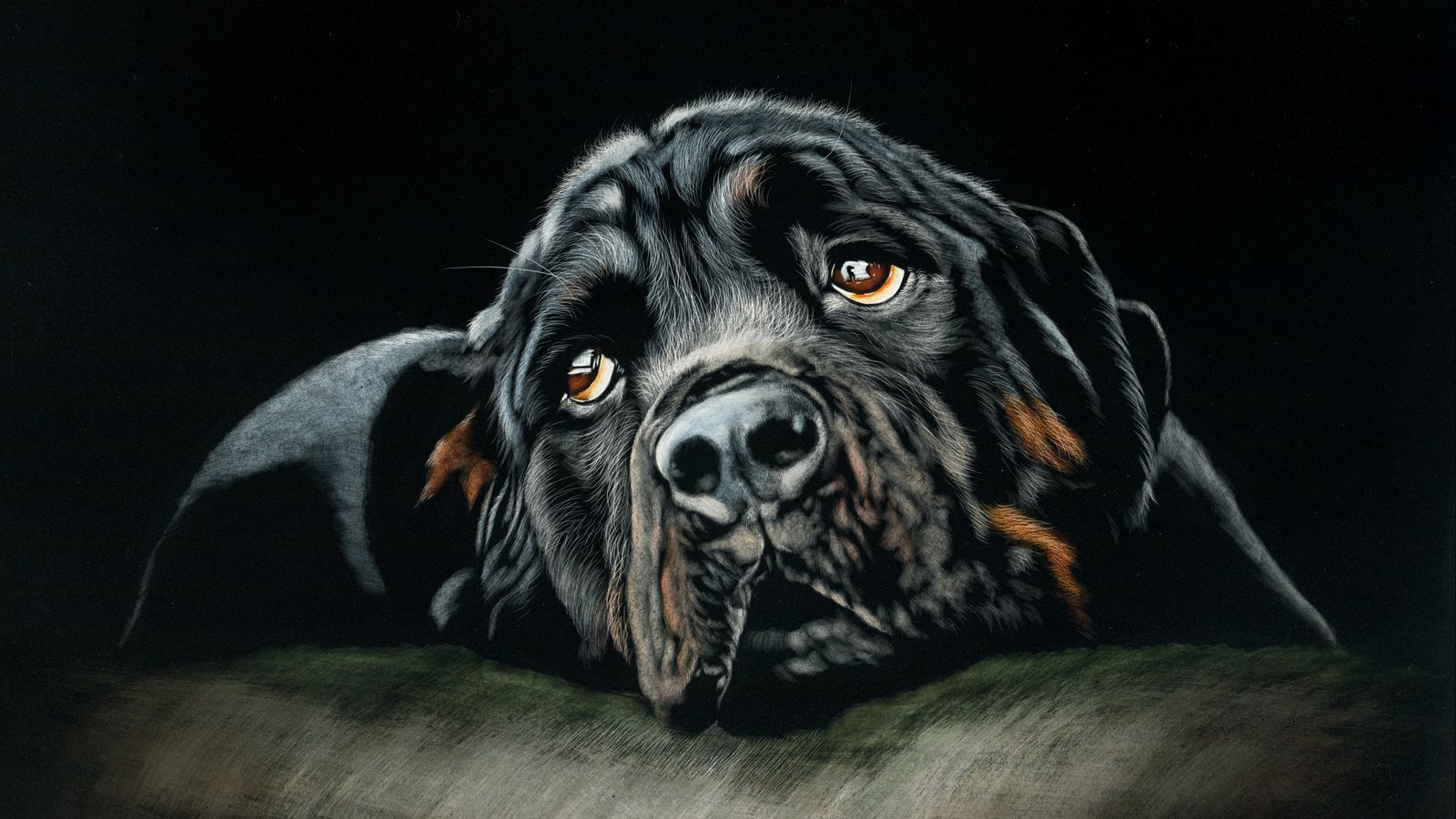 Wallpaper Rottweiler, Dog, Black, Art - Dog Painting Hd , HD Wallpaper & Backgrounds