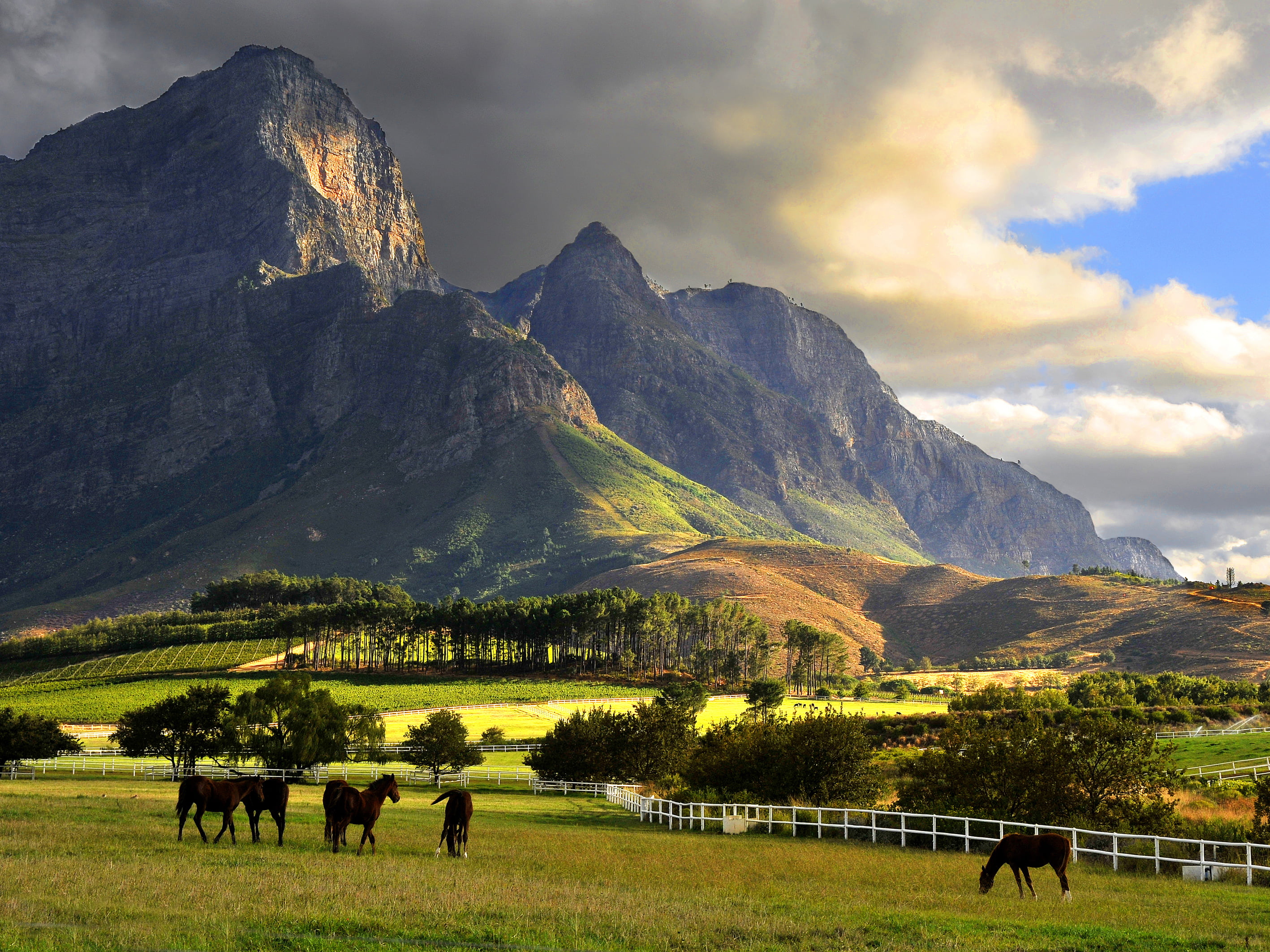 Cape Winelands , HD Wallpaper & Backgrounds