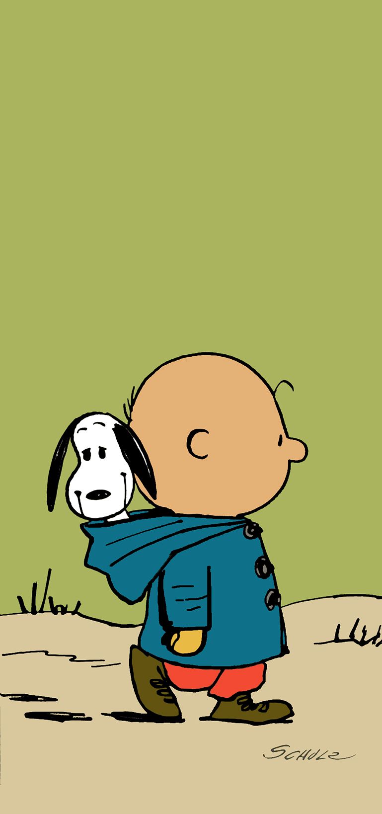 Charlie Brown Con Snoopy , HD Wallpaper & Backgrounds