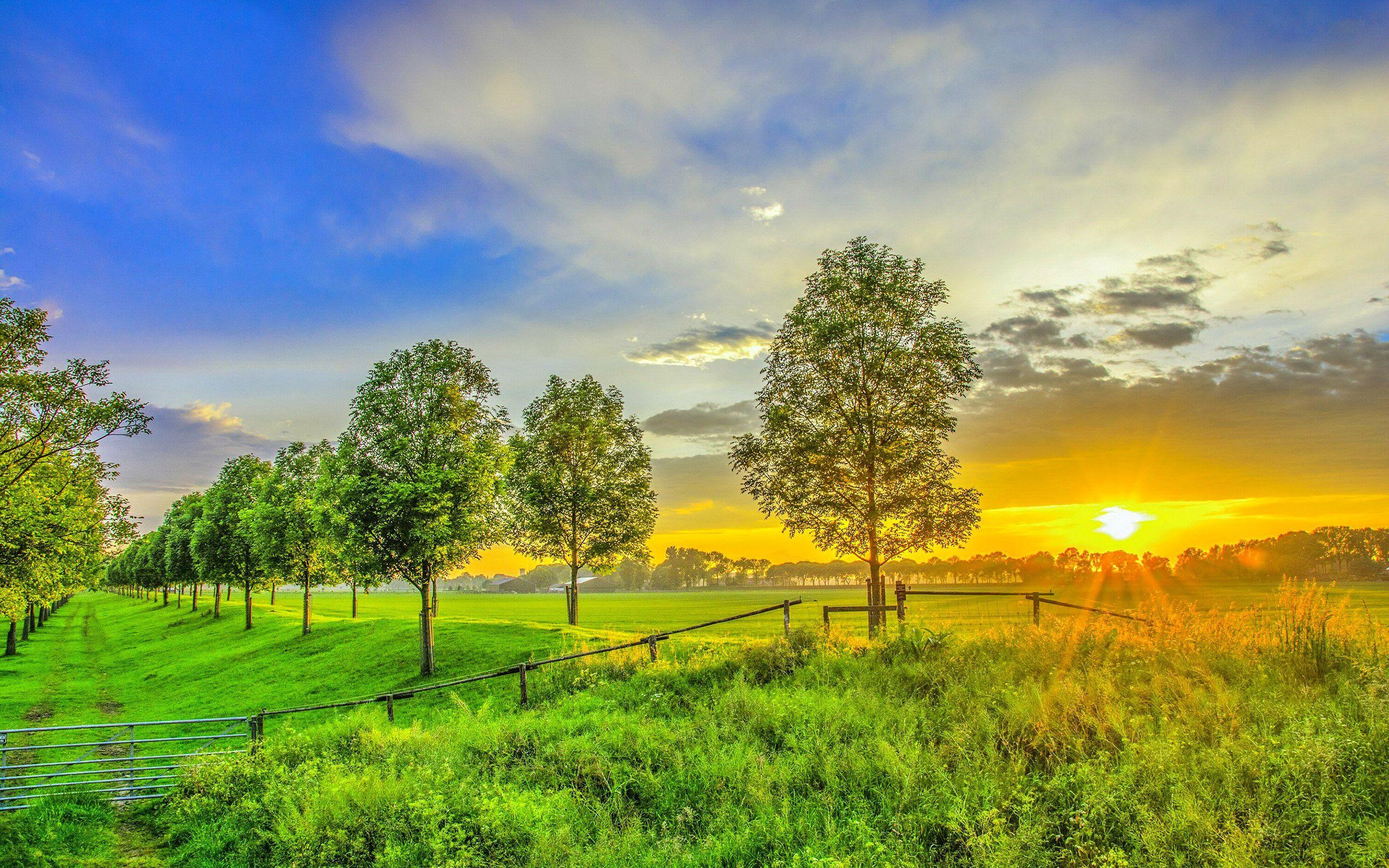 Hd Images Jpg (#3132261) - HD Wallpaper & Backgrounds Download