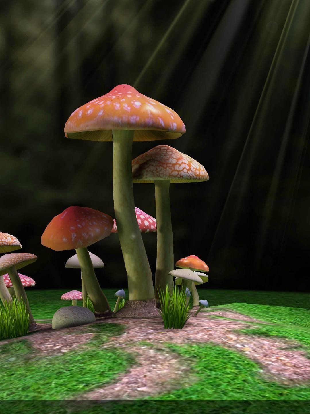 Mushroom Live Wallpaper - Shiitake , HD Wallpaper & Backgrounds