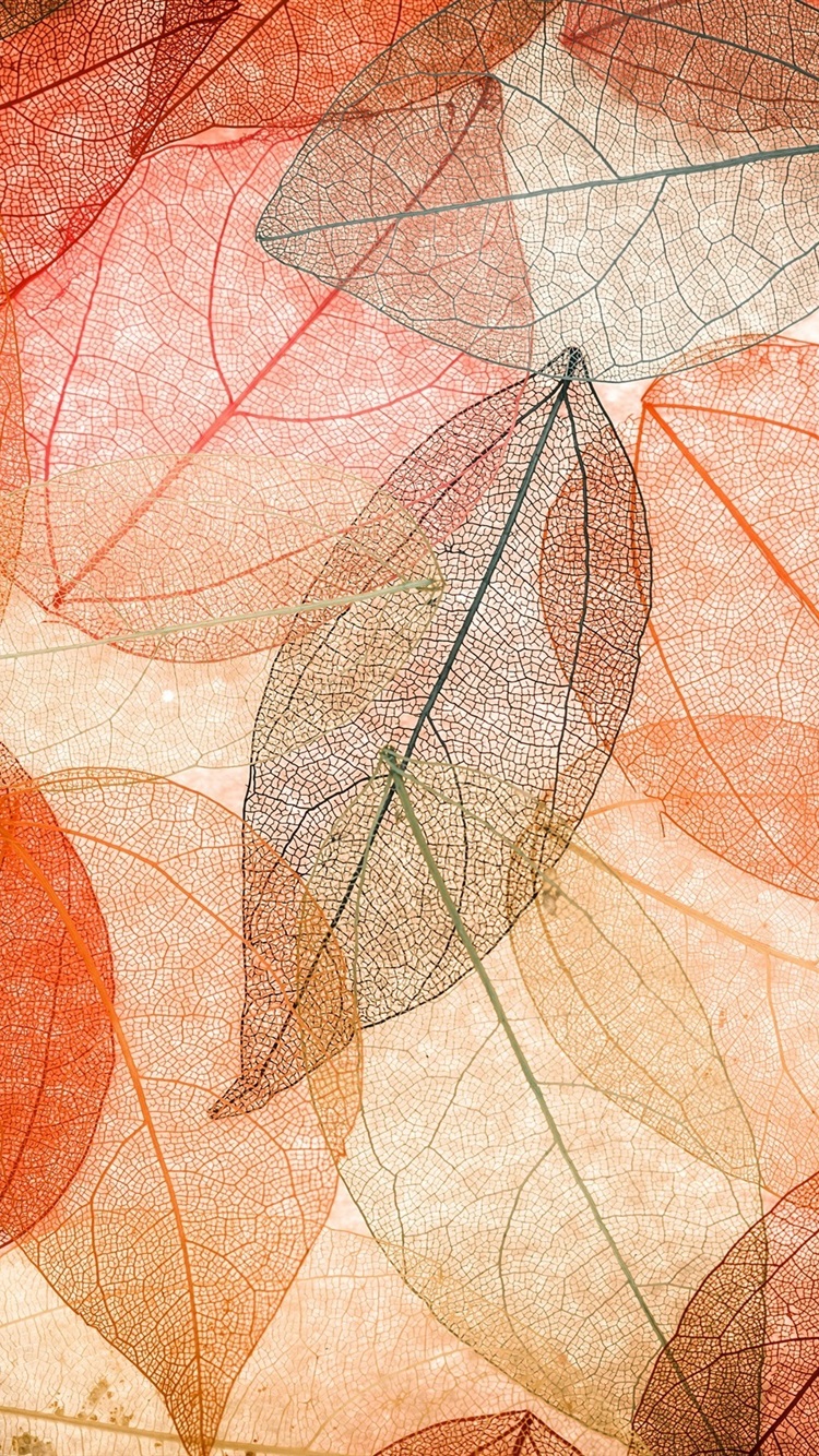 Iphone Wallpaper Autumn, Transparent Leaves, Abstract, - Autumn Leaves Wallpaper For Android , HD Wallpaper & Backgrounds