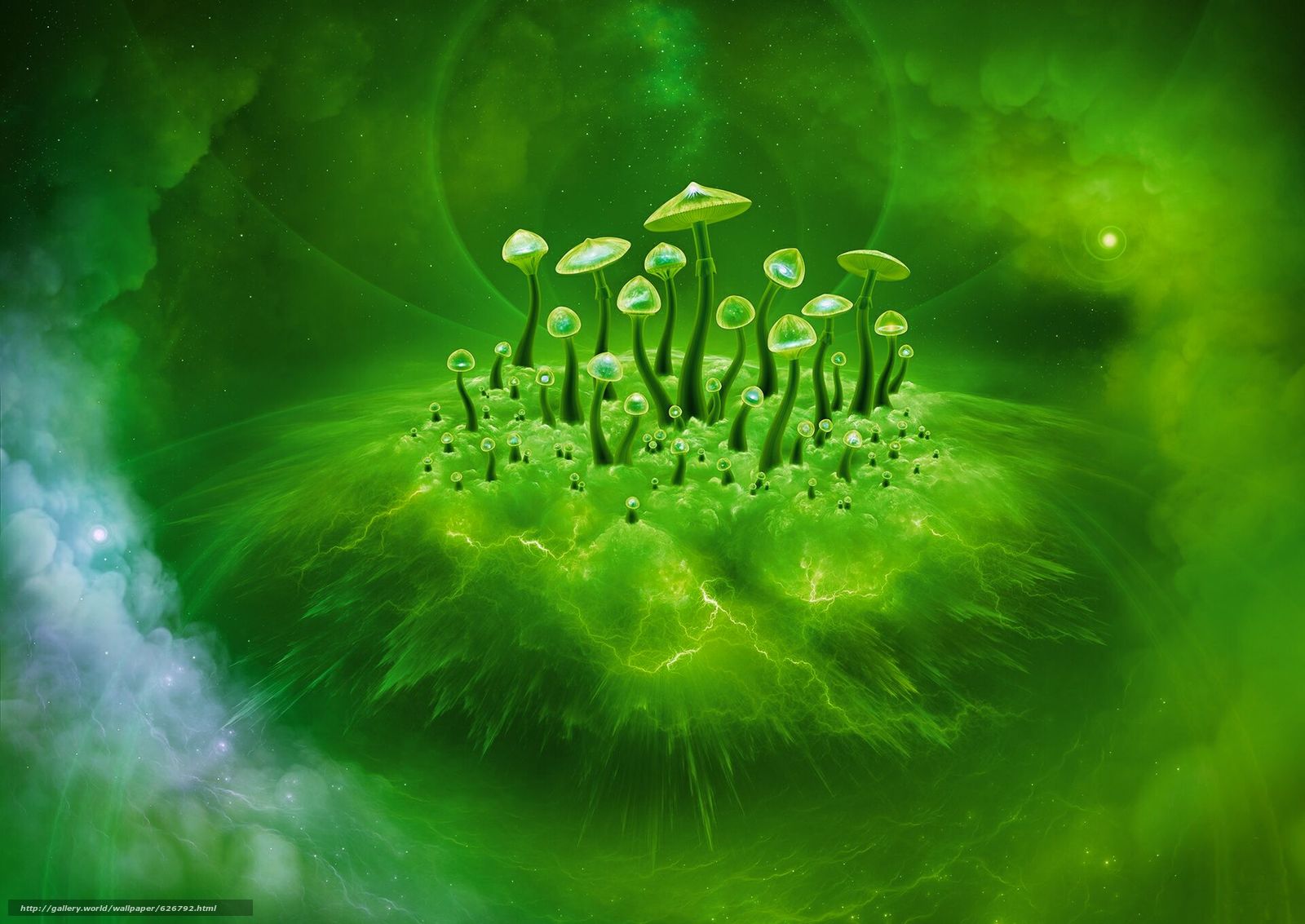 Download Wallpaper Mushroom Consciousness, Mushrooms, - Consciousness Art , HD Wallpaper & Backgrounds