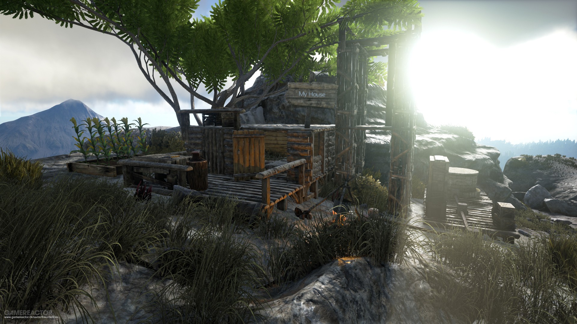 Ark Survival Evolved Player Bases , HD Wallpaper & Backgrounds