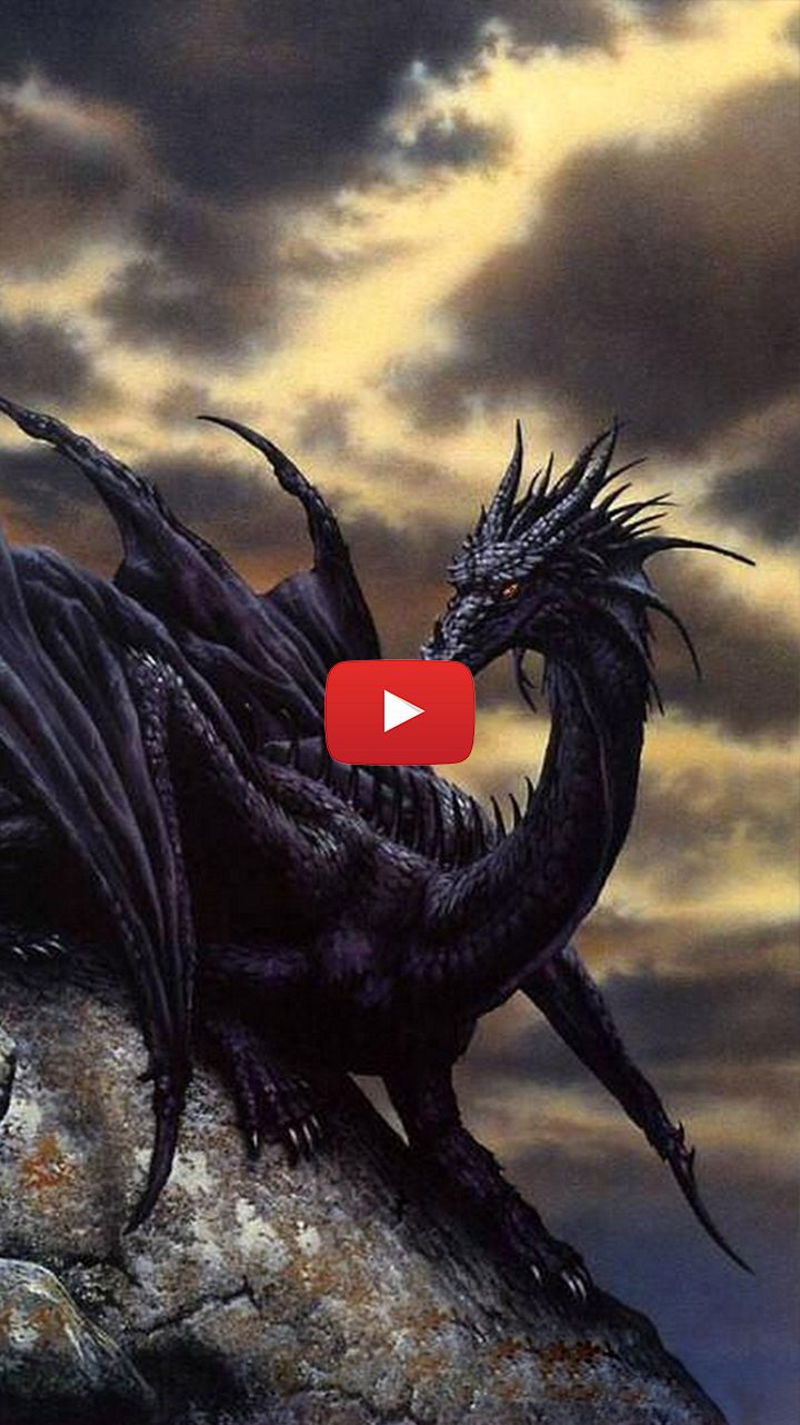 Black Dragon Concept Art , HD Wallpaper & Backgrounds