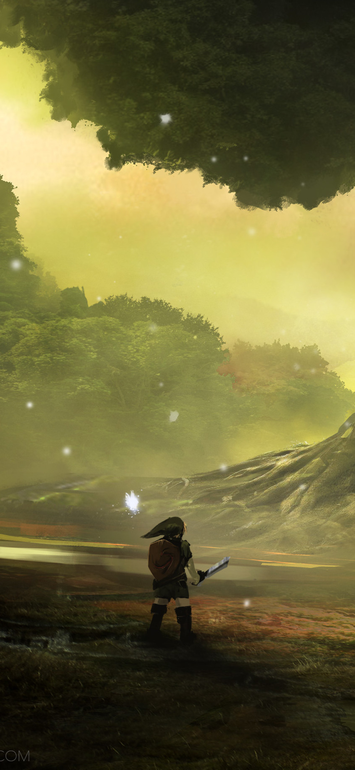Zelda Deku Tree , HD Wallpaper & Backgrounds