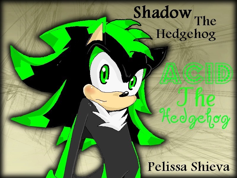 Shadow Hedgehog Wallpaper - Green Recolor Shadow The Hedgehog , HD Wallpaper & Backgrounds