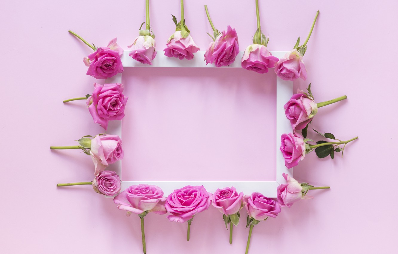 Photo Wallpaper Flowers, Background, Roses, Frame, - Rose Photo Frame Rose Wallpaper Flowers , HD Wallpaper & Backgrounds