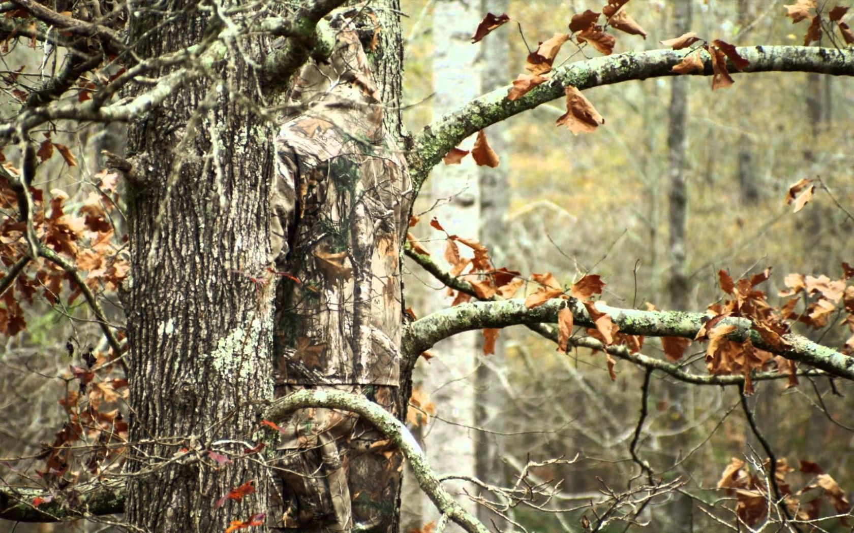 Realtree Camo Wallpaper Hd Images Pictures Becuo - Realtree Camo , HD Wallpaper & Backgrounds