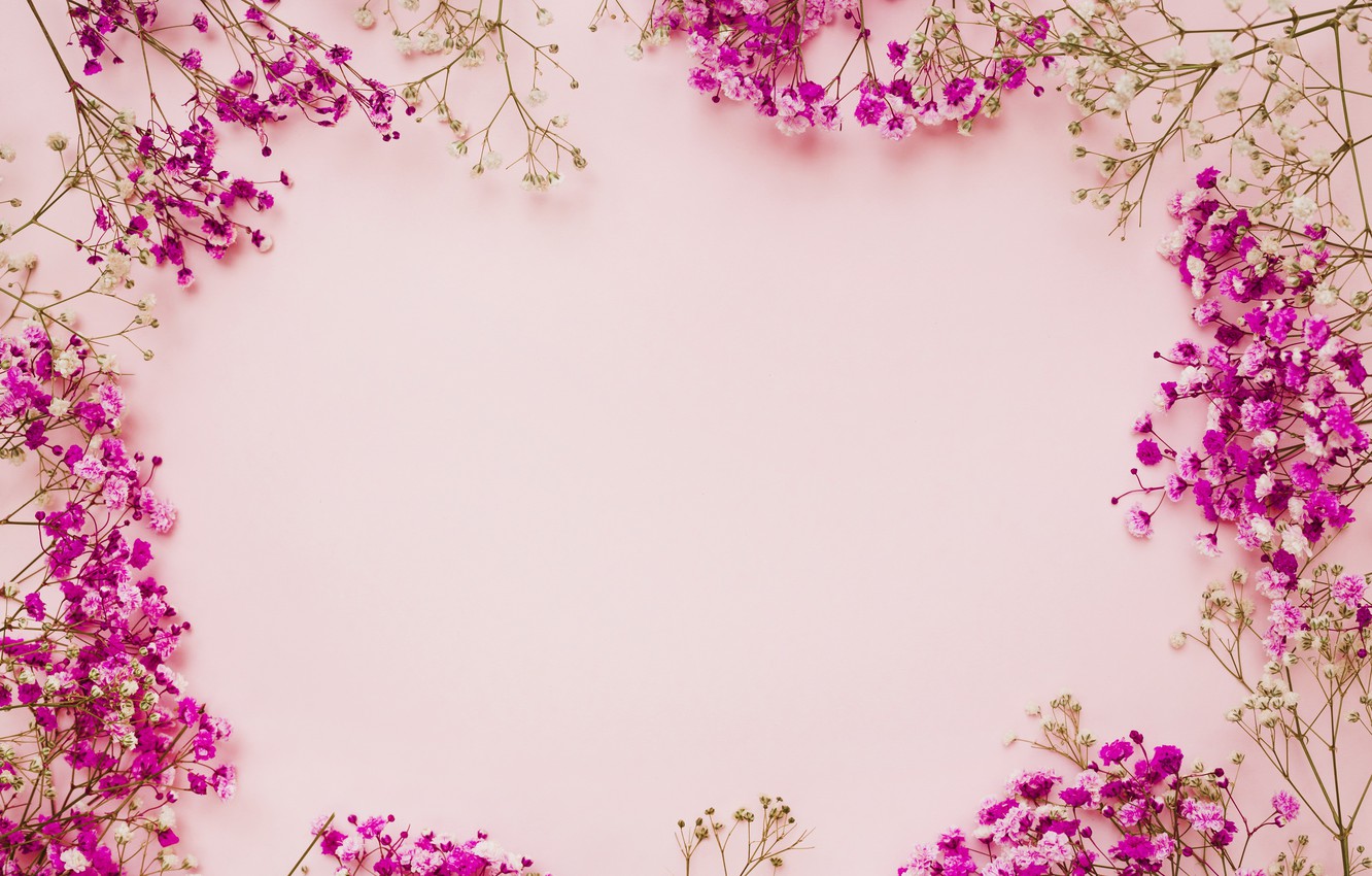 Photo Wallpaper Flowers, Background, Pink, Frame, Pink, - Фон Рамка Цветами , HD Wallpaper & Backgrounds