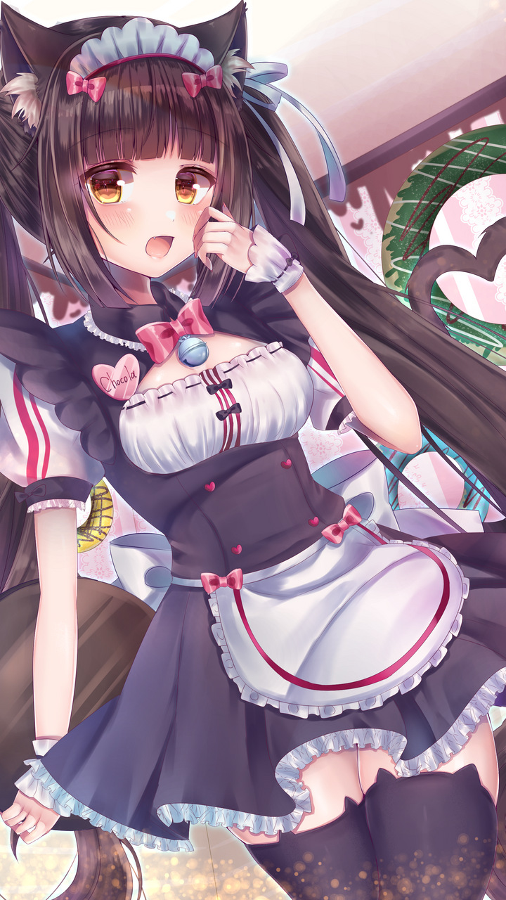 Nekopara Chocola Qhd - Chocola Nekopara , HD Wallpaper & Backgrounds