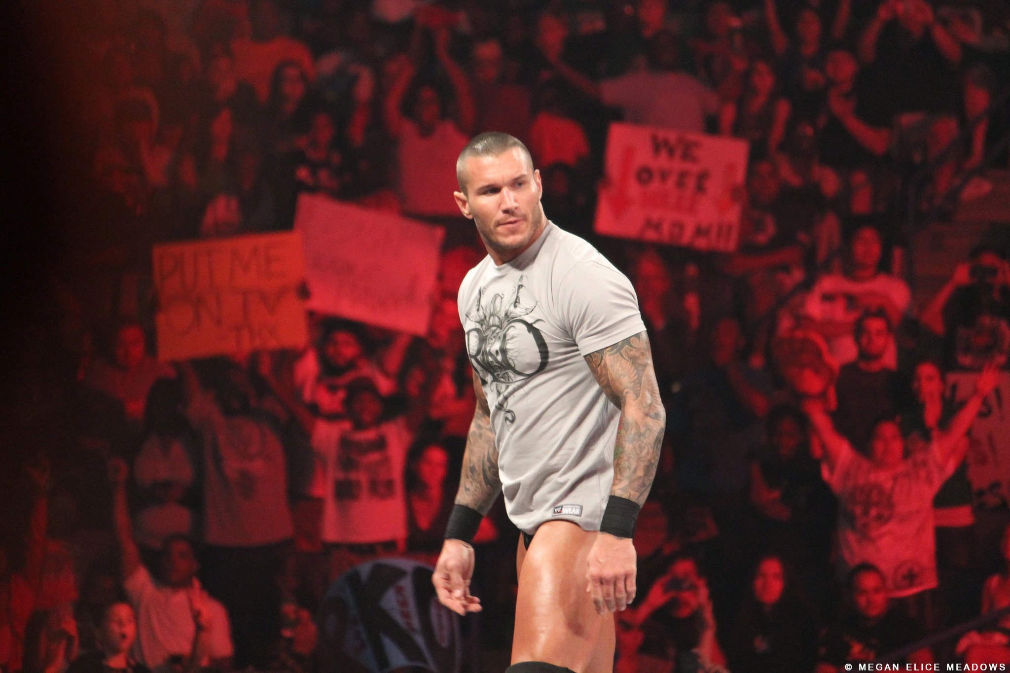 Randy Orton Wwe World Heavyweight Champion Hd Wallpapers - Randy Orton Image Hd , HD Wallpaper & Backgrounds