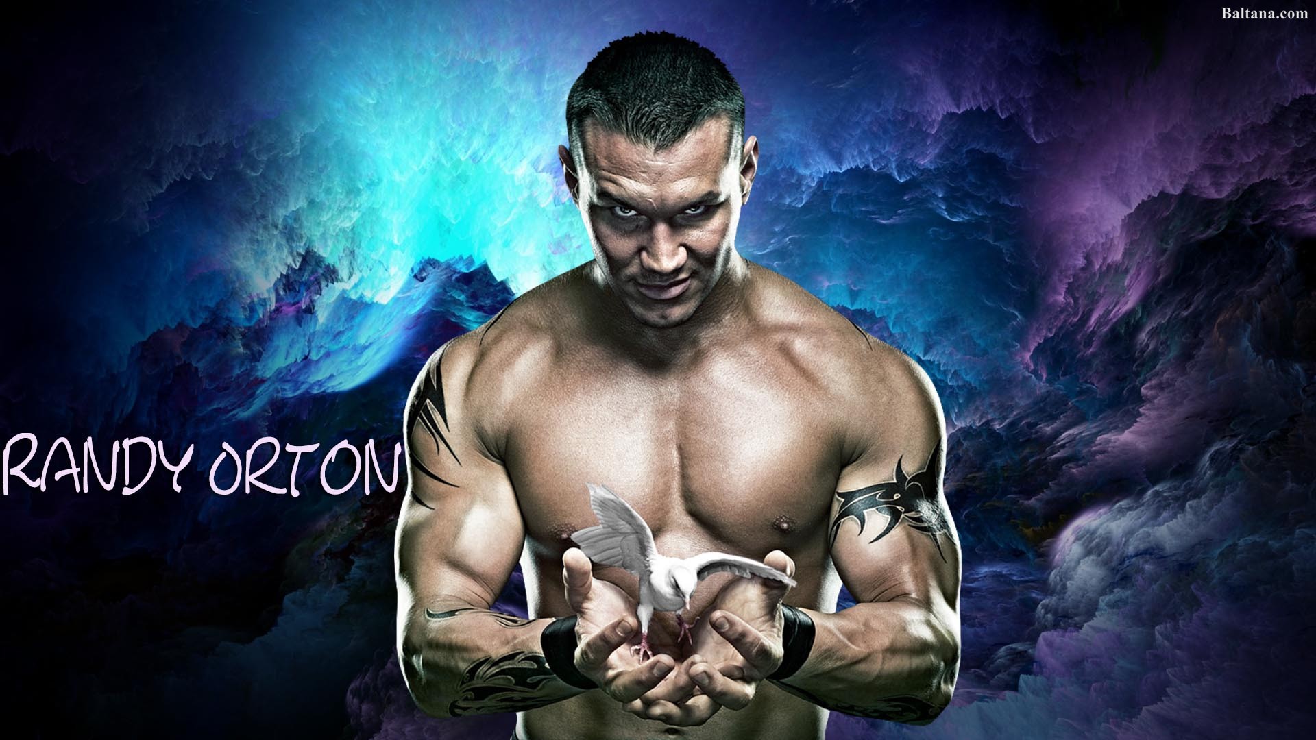 Randy Orton 2018 Wallpaper - Randy Orton No Mercy , HD Wallpaper & Backgrounds