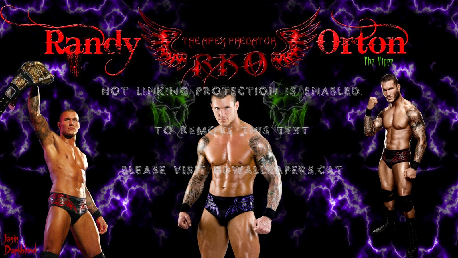 The Viper Rko Wwe Apex Predator Randy Orton - Randy Orton , HD Wallpaper & Backgrounds
